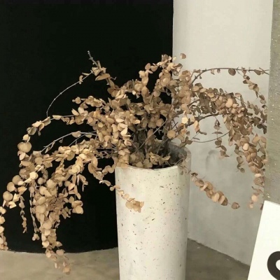 兽设晴天场景绘制兽圈群